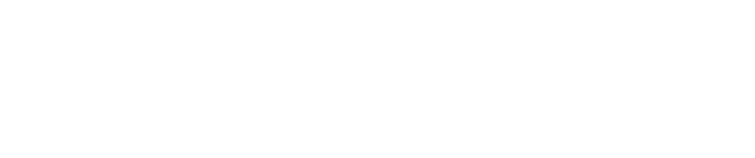 UnyPneus®